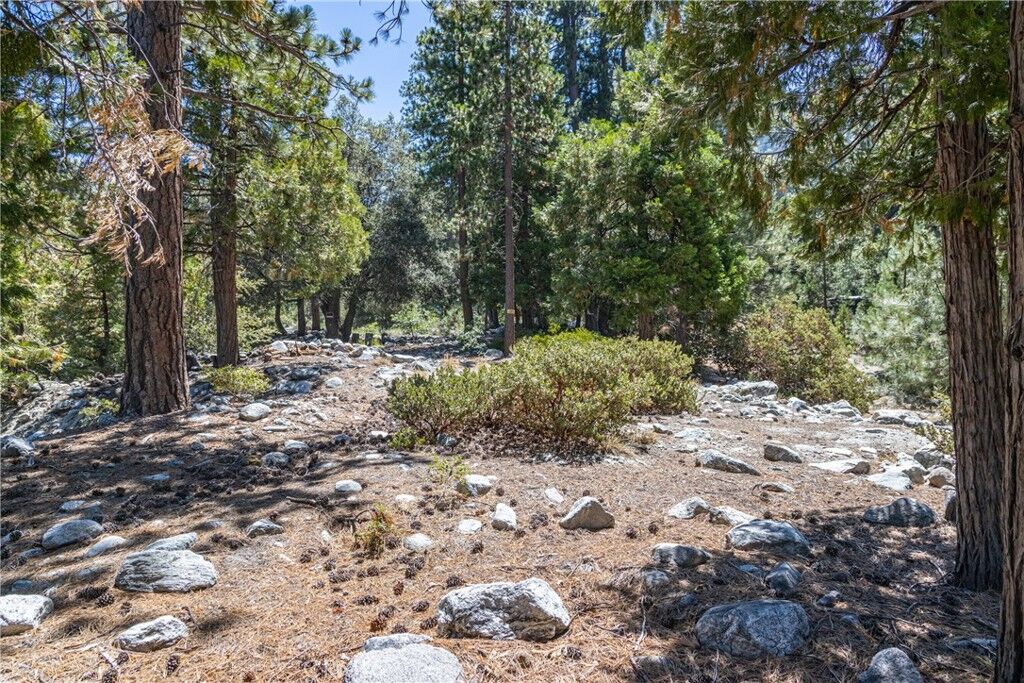 Property Photo: 0 Quercus Drive CA 92339