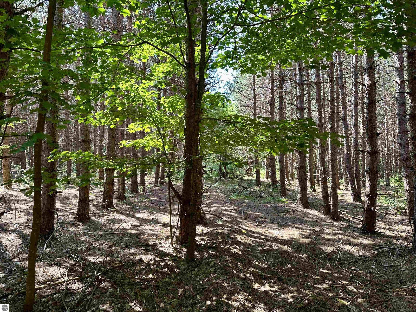 Property Photo:  000 Baver Road  MI 49635 