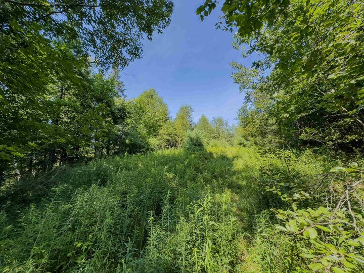 Property Photo:  00 Brushwood Road  NH 03765 