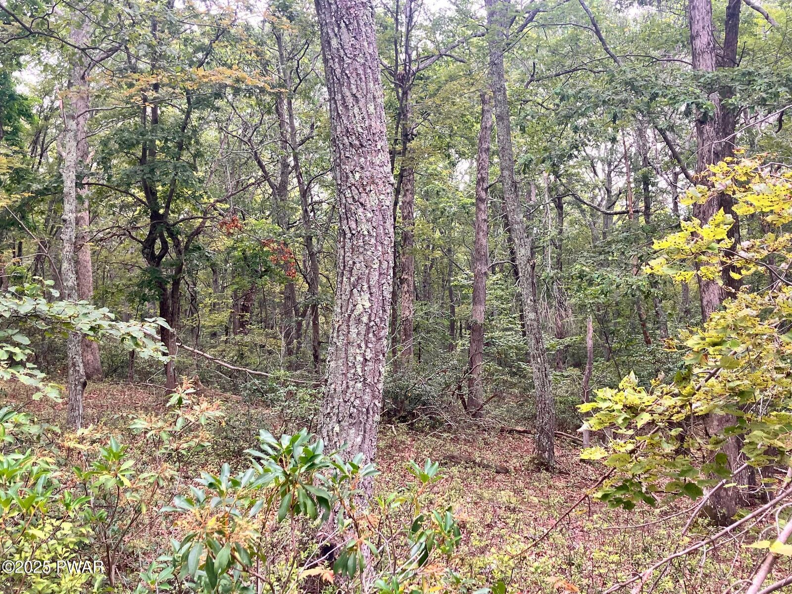 Property Photo:  Philwood Lane  PA 18337 