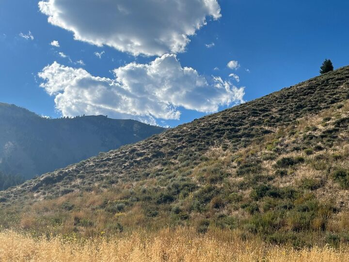 Property Photo: 3312* Warm Springs Rd ID 83340