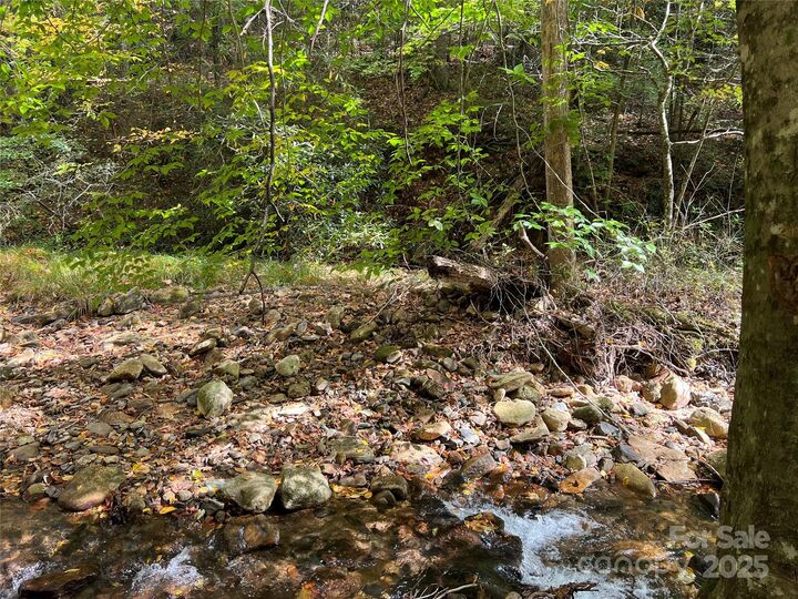 Property Photo:  00 Low Gap Road  NC 28792 