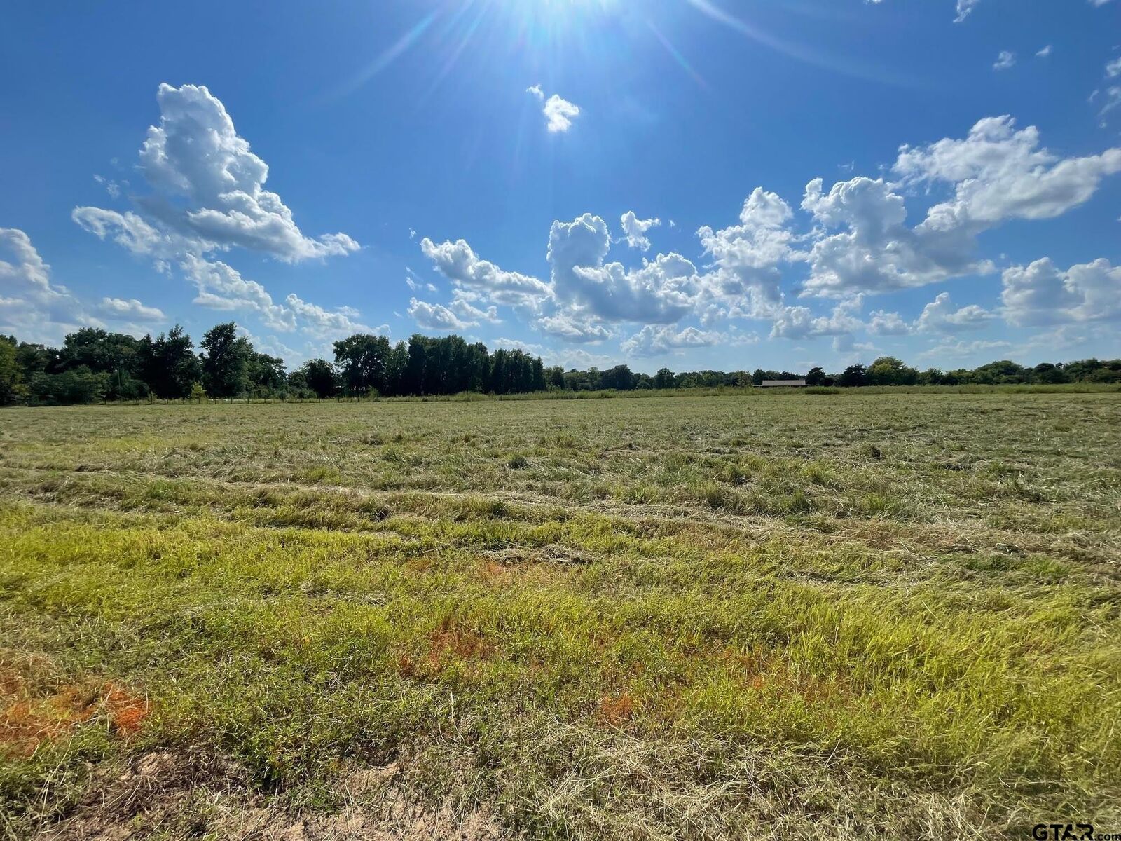 Property Photo: 000 County Road 2375 TX 75410