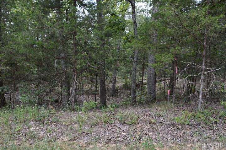 0 Beach  Ste Genevieve MO 63670 photo