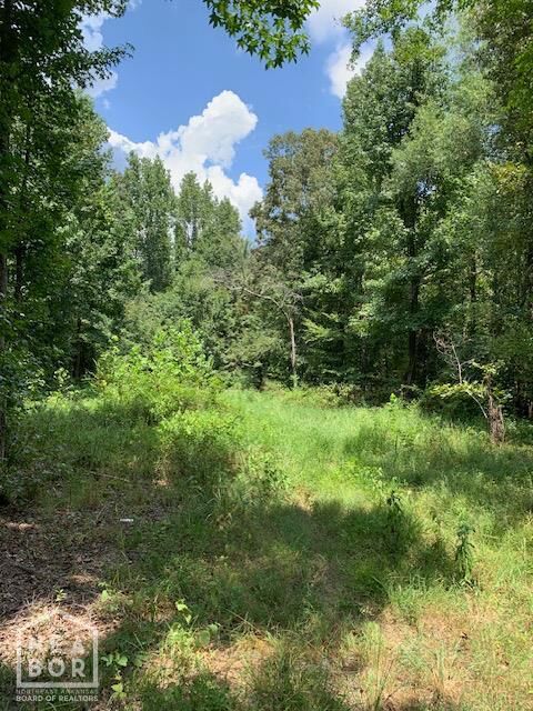 Property Photo: 2901 Greene Cr 731 AR 72450