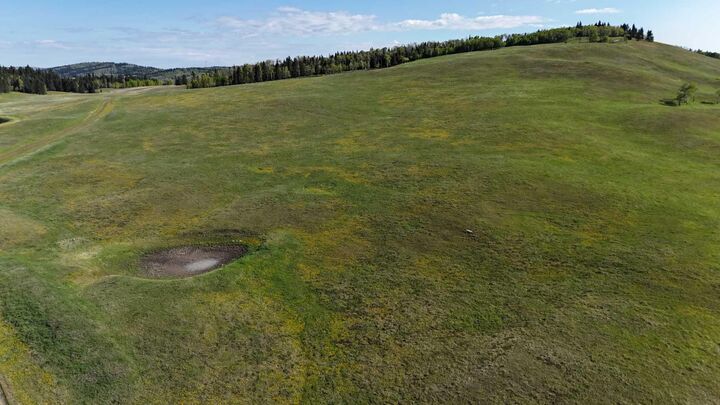 Property Photo: 130 Acres Plummers Road W AB T0L 1K0