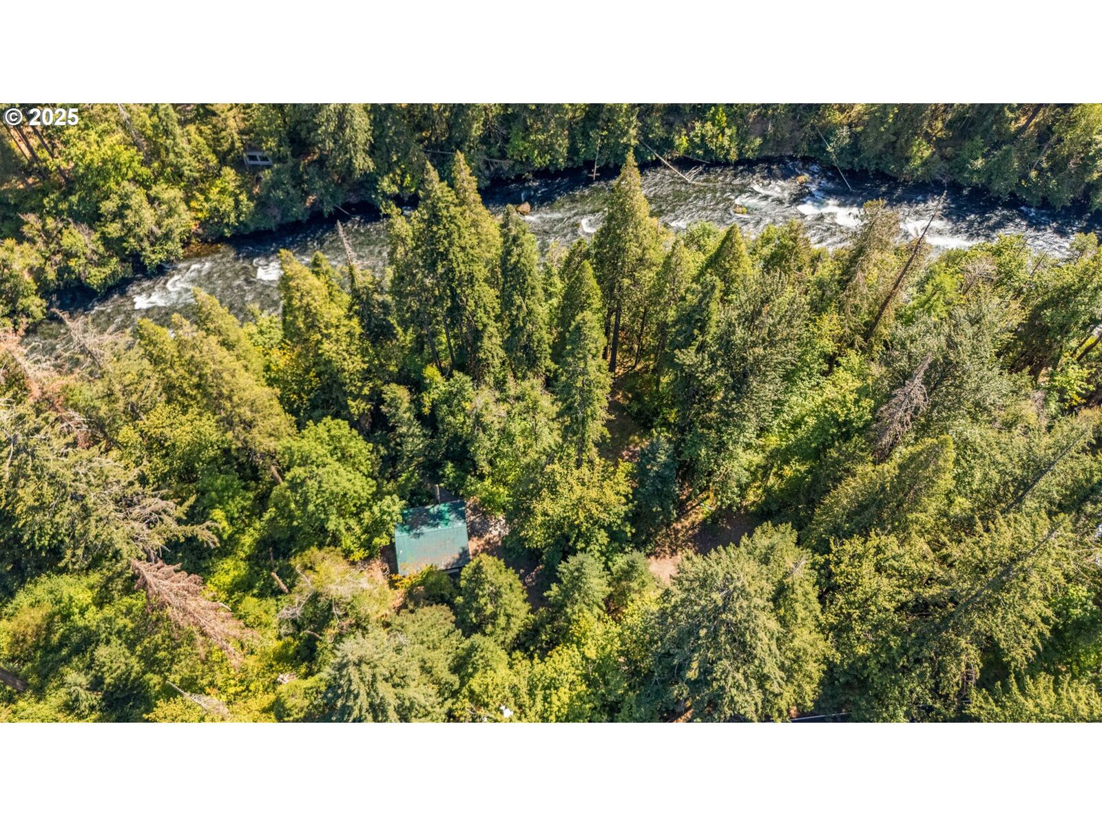 Property Photo:  McKenzie River Dr 1800  OR 97413 