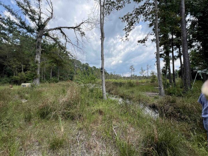 Property Photo: Tbd 4.23 Acres Off Of S. Mill Creek Dr. TX 77656