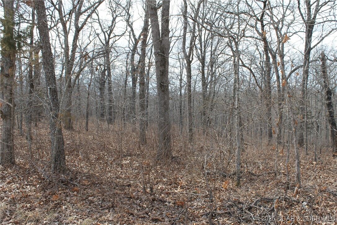 Property Photo: Anne Drive 1786 MO 65326