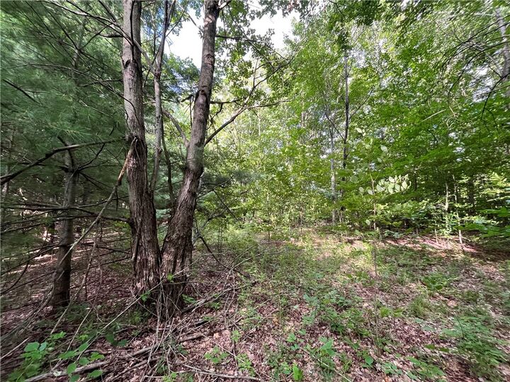 0 Held #11 Greenbush Road  Erin NY 14838 photo