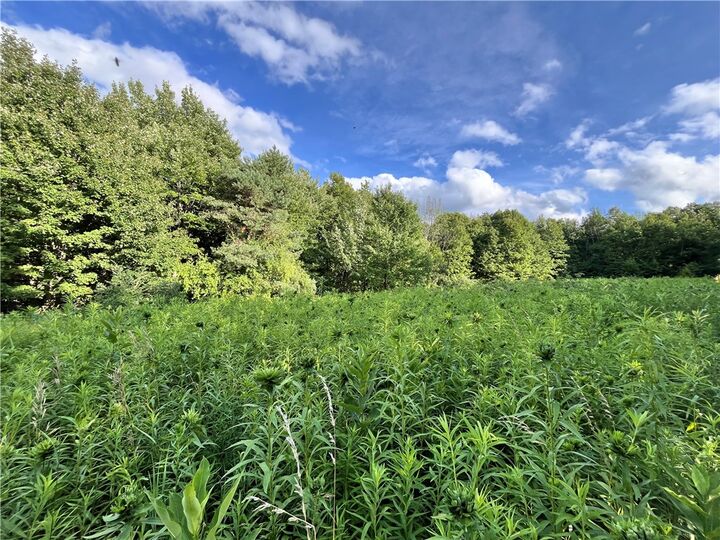 0 - Held #12 Greenbush Road  Erin NY 14838 photo