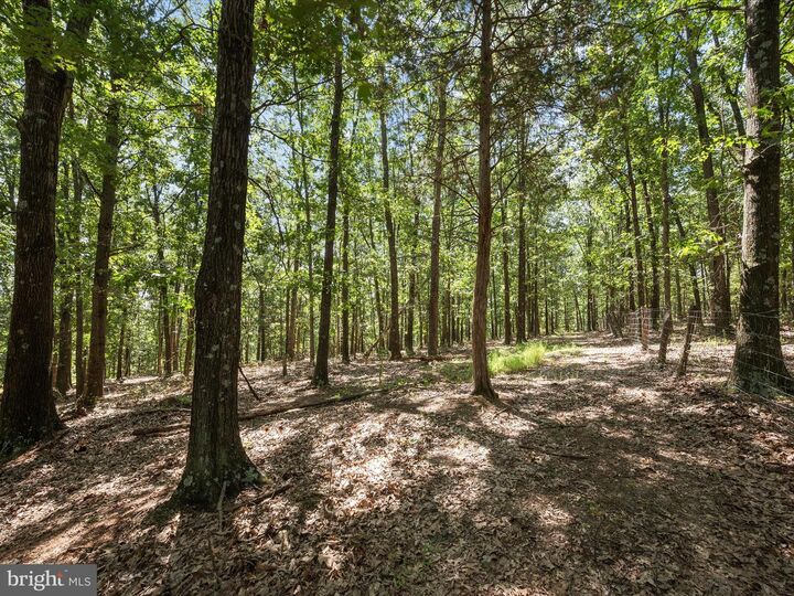 Property Photo:  000 Light Road  VA 22603 