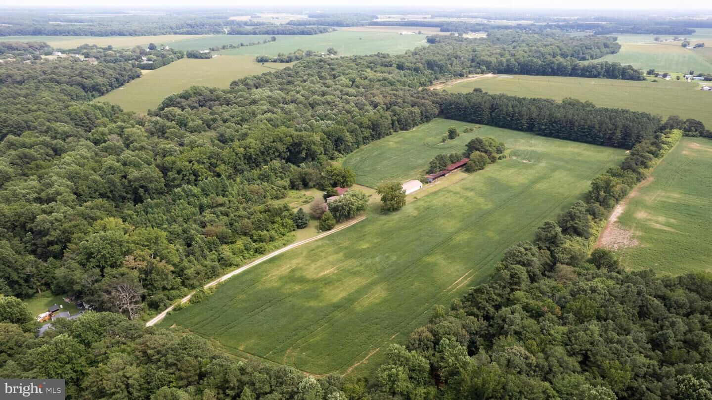 Property Photo:  22109 Tanyard Road  MD 21655 