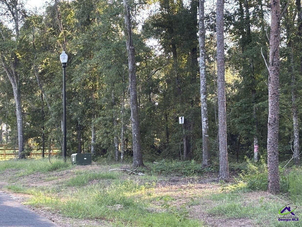 Property Photo:  Lot 1 Trojan Way  GA 31008 