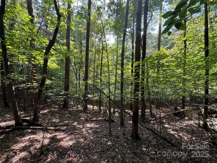 Property Photo:  Lot 10 Duck Creek Farms Duck Creek Lane  NC 28079 