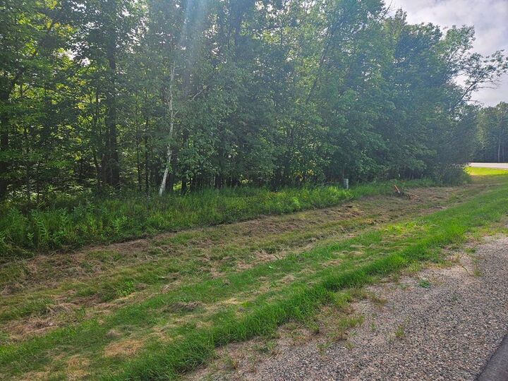 Property Photo: Lt 1 Blk 1 County Rd 238 MN 56636