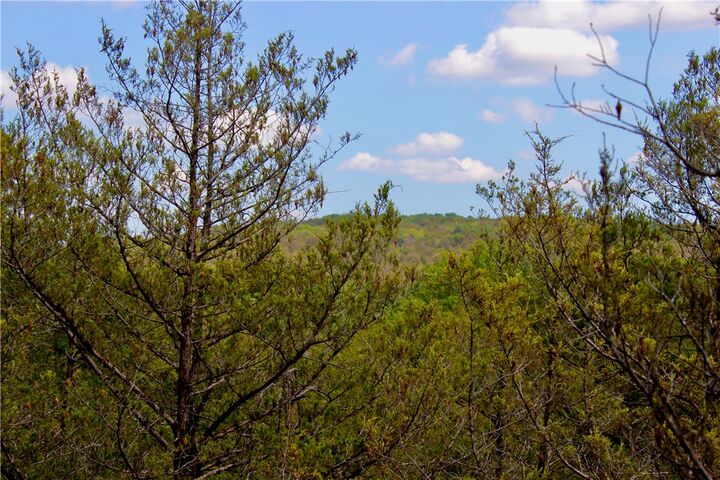 Property Photo: County Road 2264 Drive AR 72631