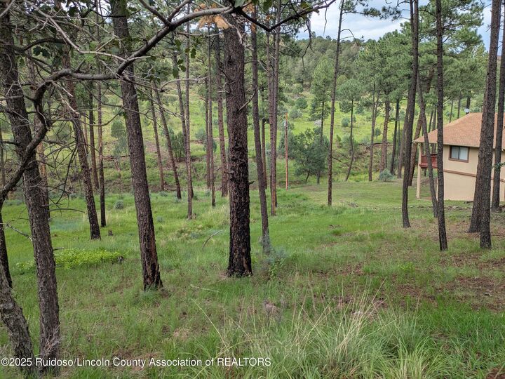 Property Photo:  205 Stable Road  NM 88312 