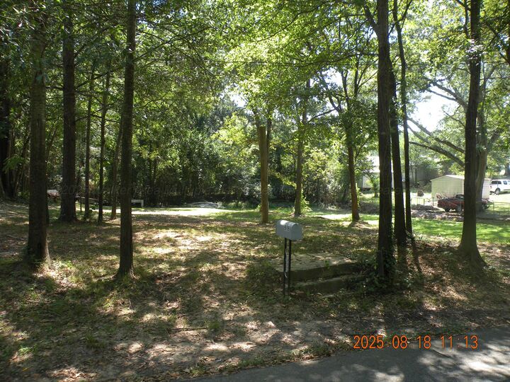 Property Photo: 919 Pine St AL 35501