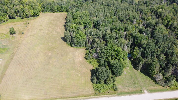 Property Photo: 17 Acres E Traynor Rd MI 49736