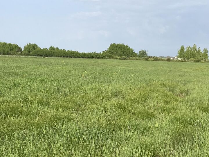 Property Photo:  000 E 7 Mile Rd  MI 49783 
