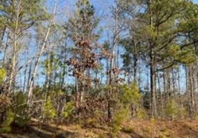 Property Photo:  --- Steadman #32 Road  GA 30176 