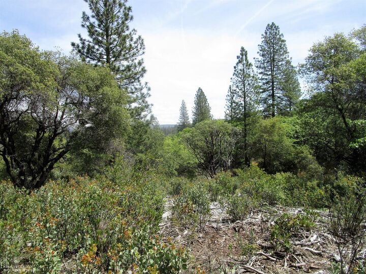 Property Photo: 24271 Hoyt Crossing Road CA 95960