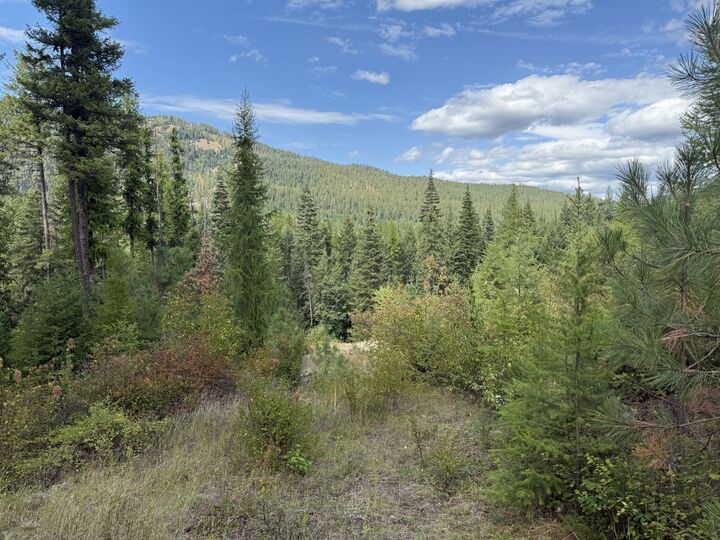 27xx Flowery Trail Rd  Chewelah WA 99109 photo