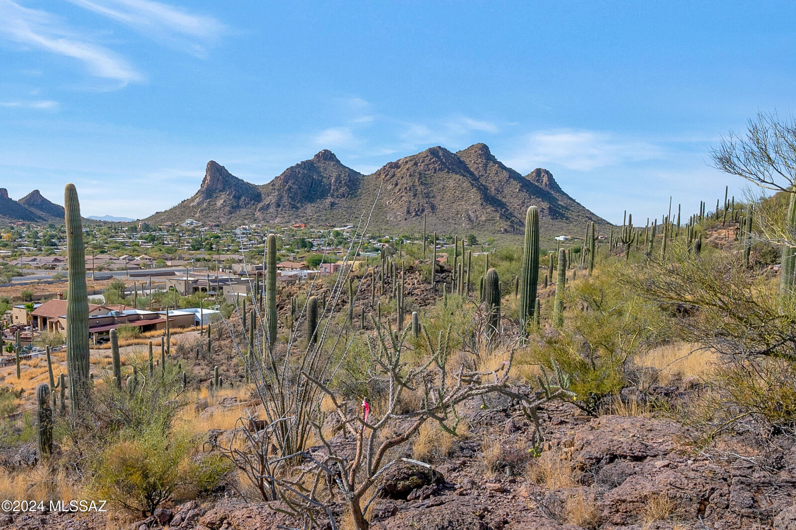 Property Photo: 4896 S Cactus Wren Avenue AZ 85746