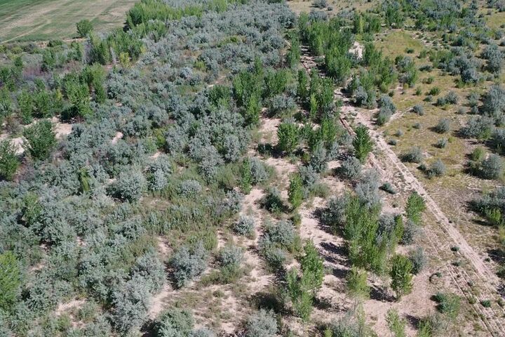 6333 N 1600 5  Cedar City UT 84721 photo