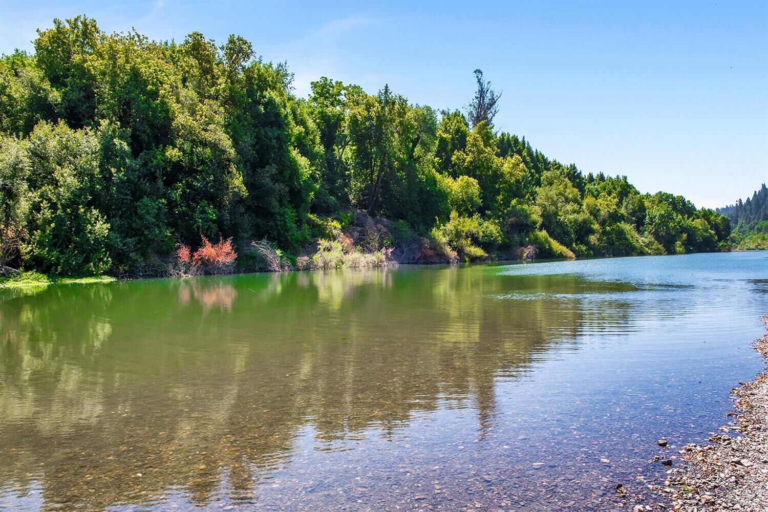 Property Photo:  14792 Northern Avenue  CA 95446 