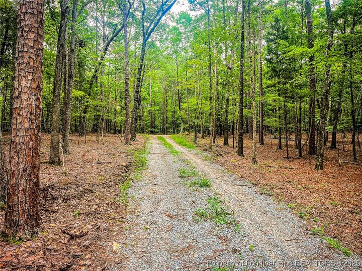 Property Photo: Jennifer Lane NC 27330