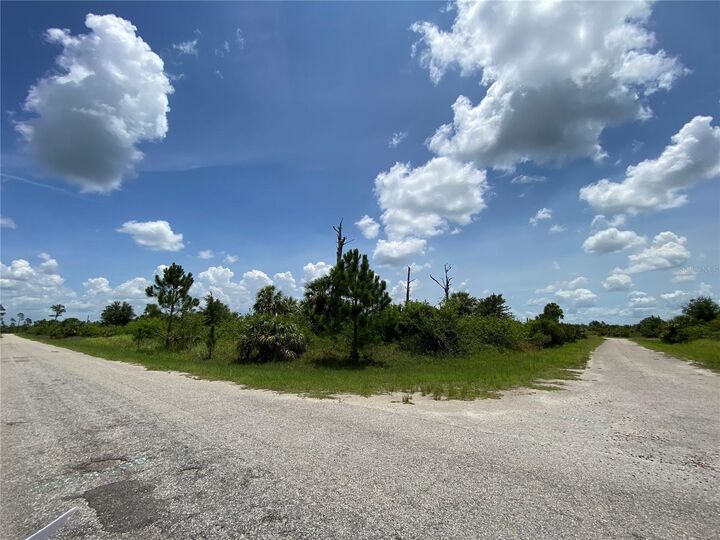 Property Photo:  Blueleaf Drive  FL 34288 