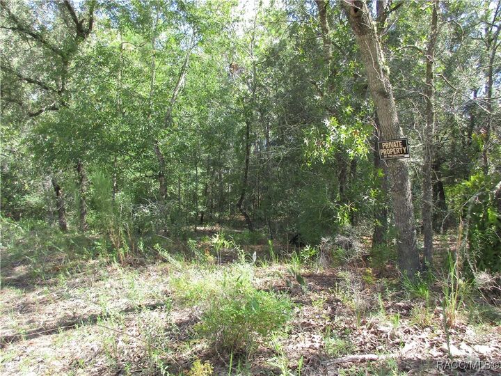 Property Photo: 8339 N Creek Way FL 34434
