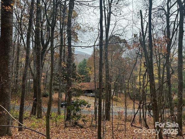 Property Photo:  309 Nottingham Road  NC 28751 