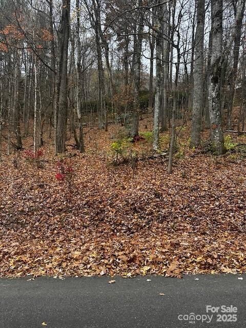 309 Nottingham Road  Maggie Valley NC 28751 photo