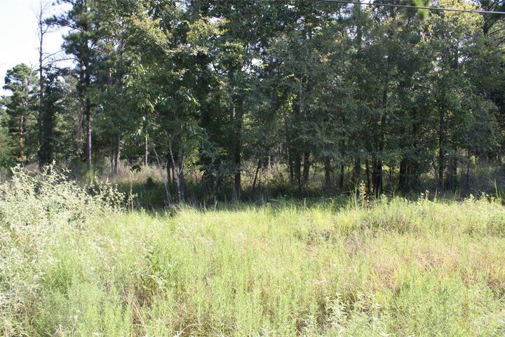 Property Photo: Lot 1 Morris Lane TX 77320