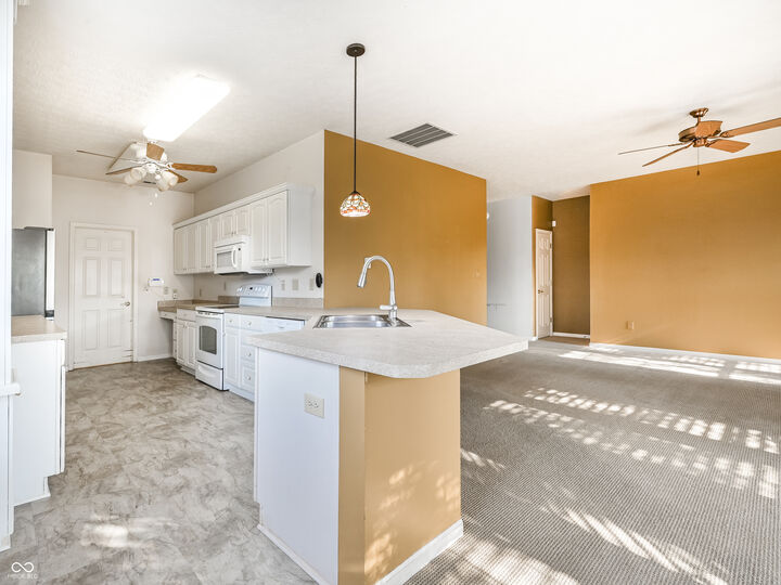 11197 Ruckle Street  Carmel IN 46032 photo
