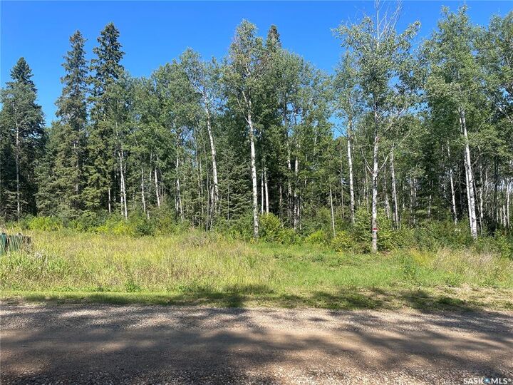 2 Phillips Crescent  Big River Rm No. 555 SK S0J 0E0 photo