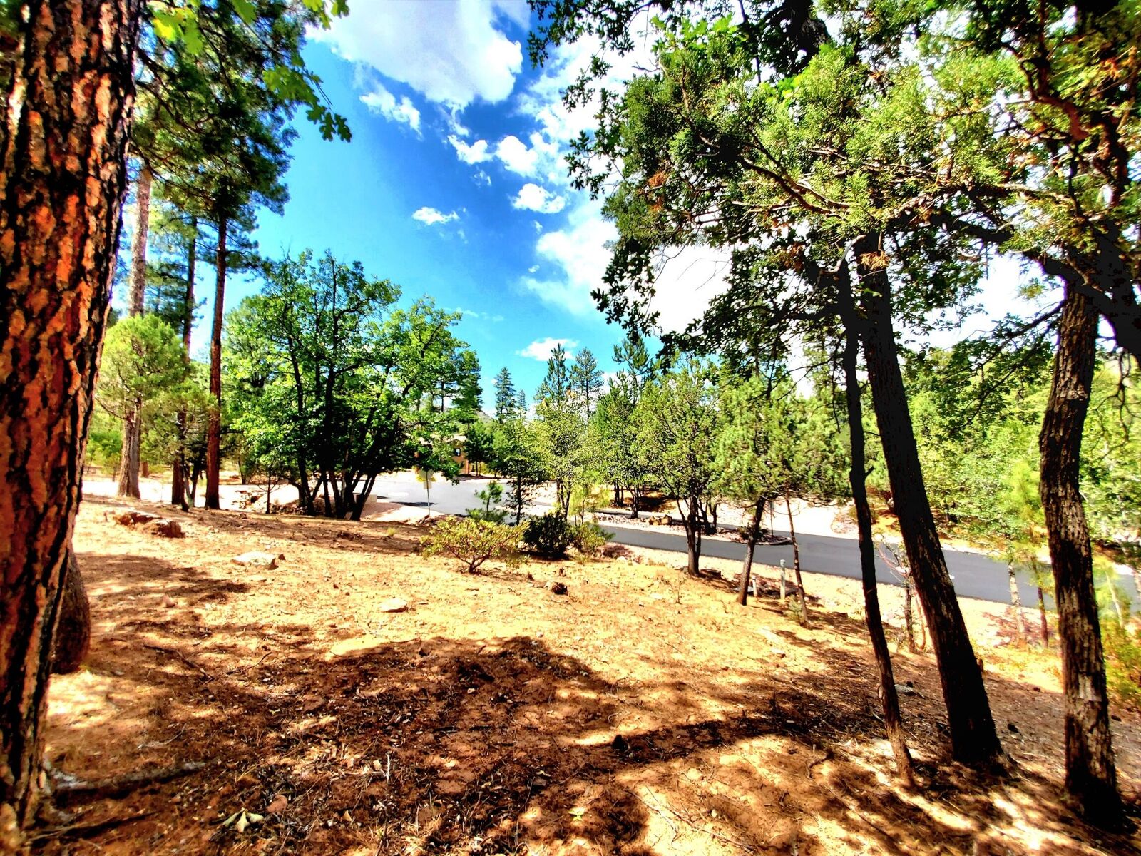 Property Photo: Lot 19 Strawberry Hollow AZ 85544