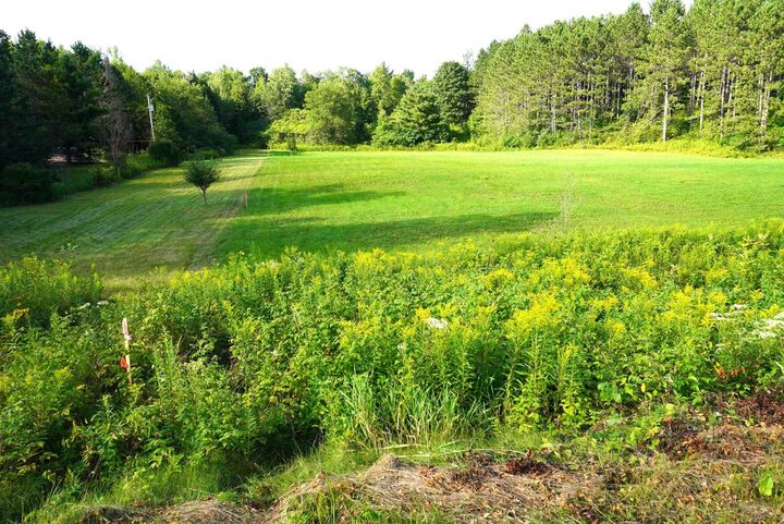 Property Photo: 17.47 Acres Schulz Spur Drive WI 54452
