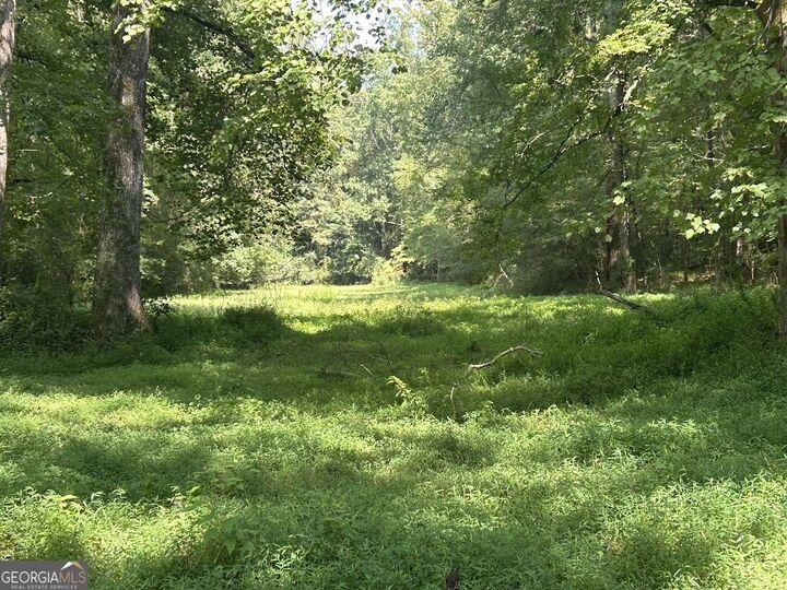 Property Photo: Tract 2 Attaway Road Tract 4.59 Acres GA 30108