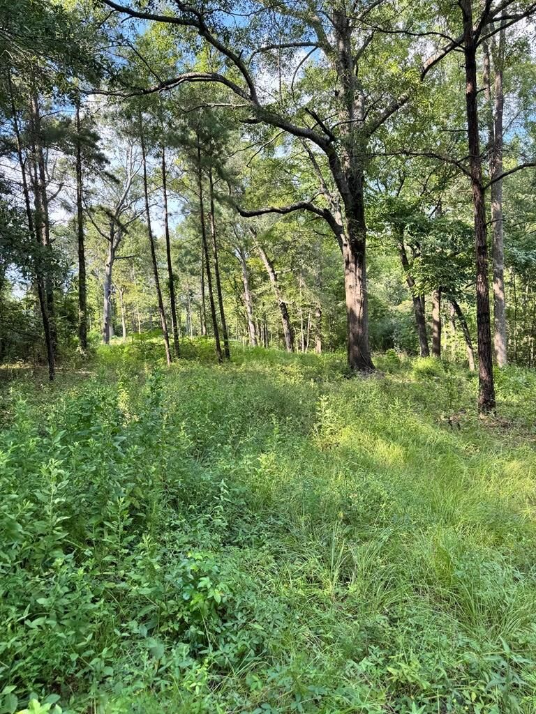 Property Photo:  560 McKindree Rd  TX 75901 
