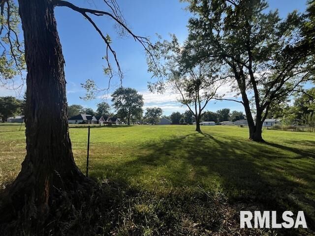 Property Photo: 000 Whitney Lane IL 62959