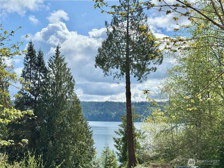 Property Photo:  143 N Shar Lane  WA 98555 