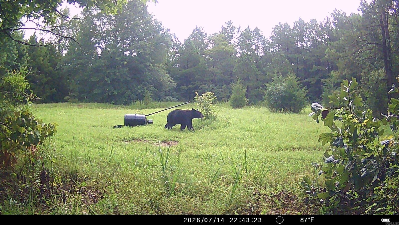 Property Photo: 10710 Rhude AR 72076