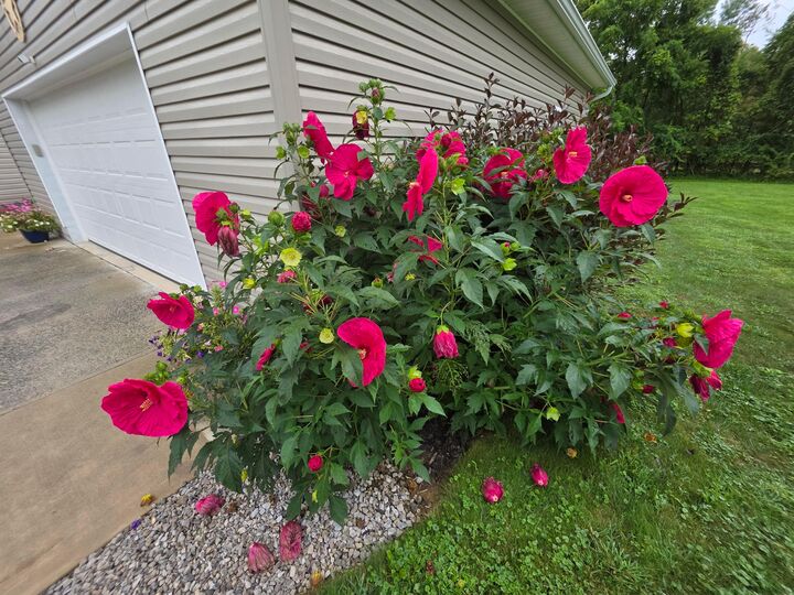 Property Photo: 7326 State Route 19 OH 43338