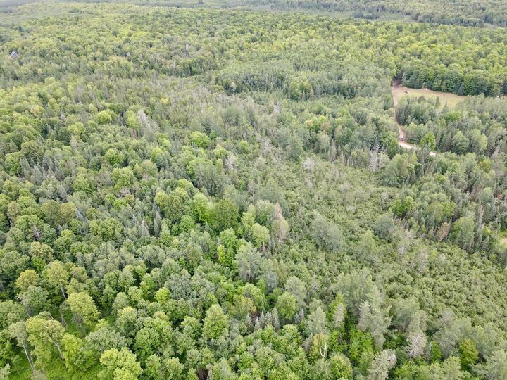 Property Photo: On McCord Rd N WI 54564