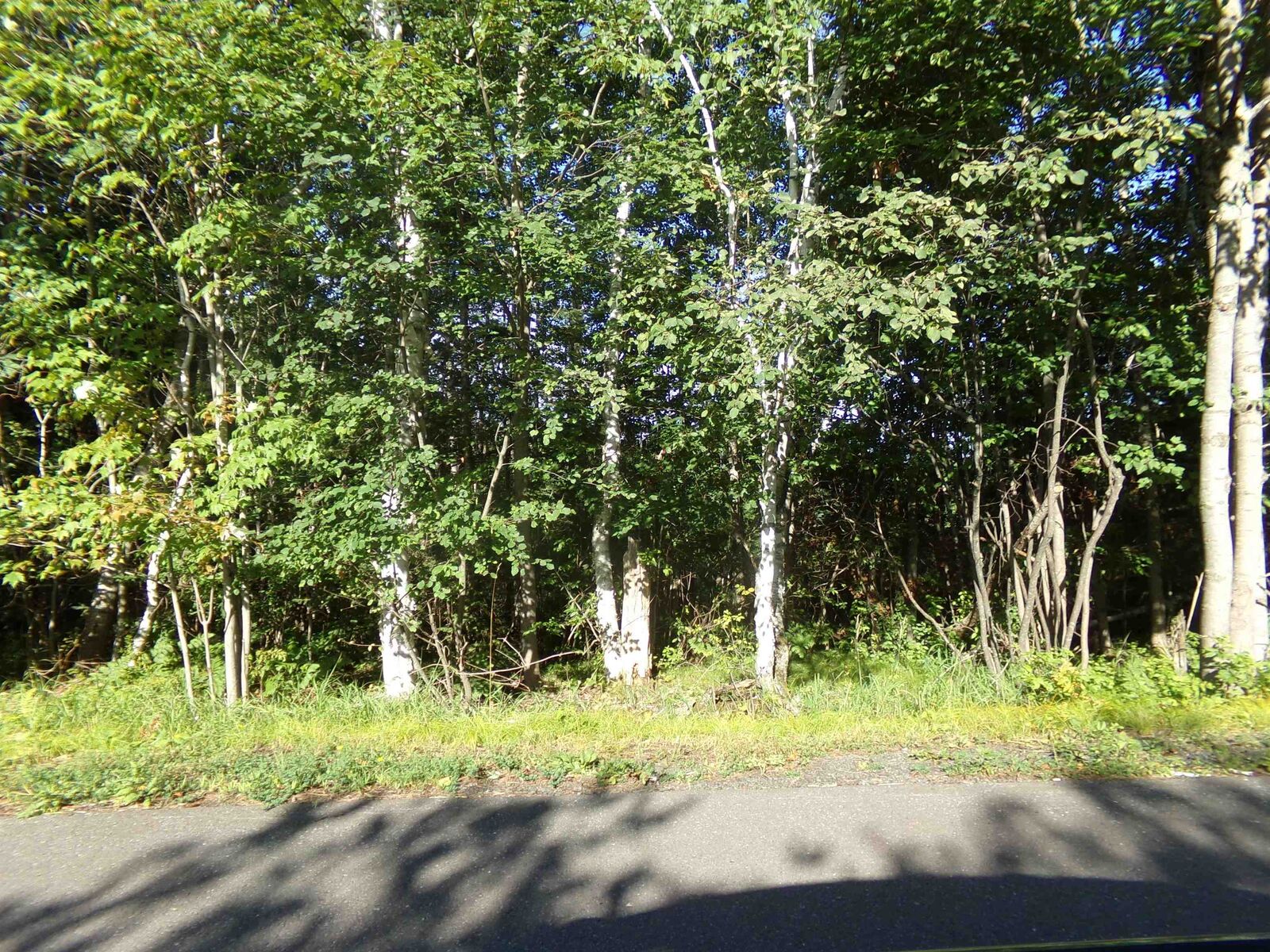 Property Photo:  7581 S Marsik Rd  WI 54849-9999 