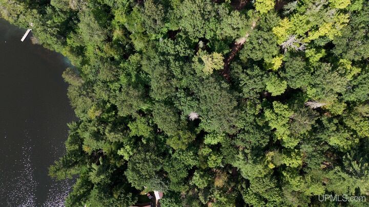 Property Photo:  Tbd W Paint Lake Road  MI 49935 